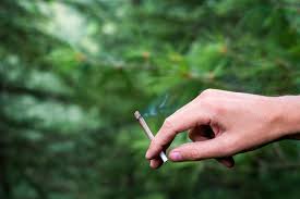 Smoking Legal Weed