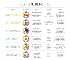 Terpene Benefits